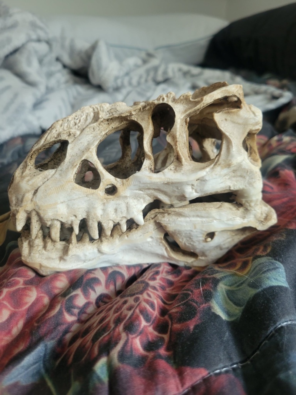 T-Rex Mold realistic taxidermy oddity